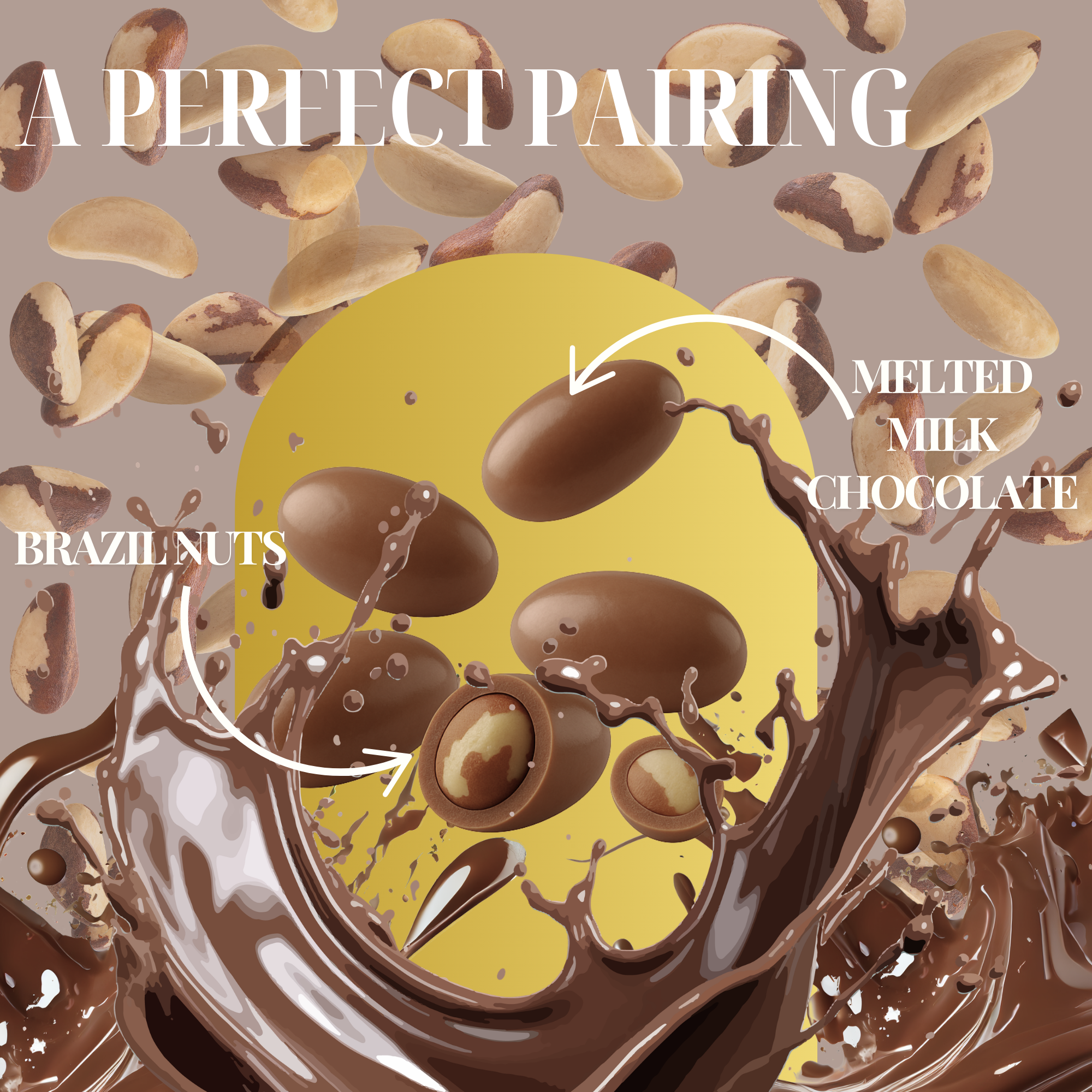 Chocolate Brazil Nuts Creamy Treat