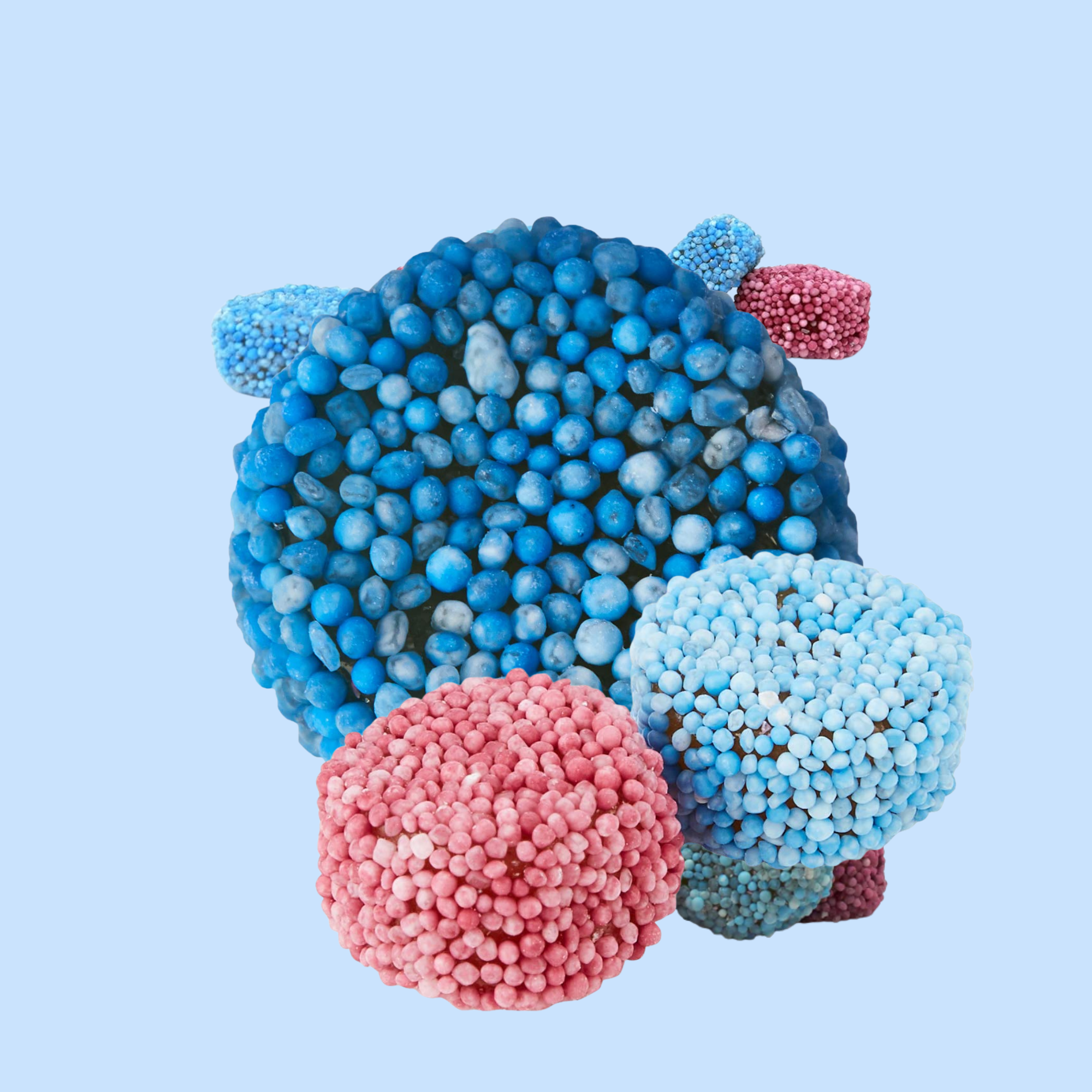 Jelly Spogs – 500g Bag – Barratt Pink & Blue Liquorice Sweets