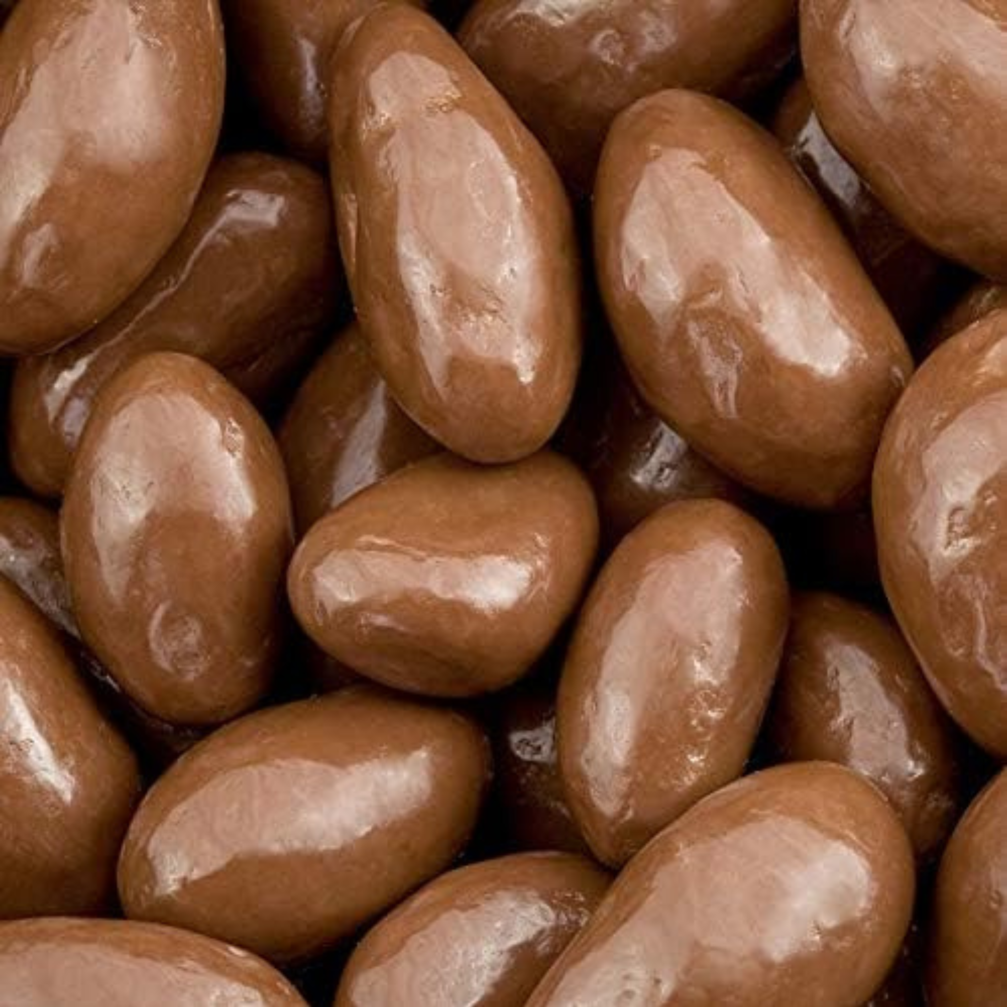 Close-up of shiny Chocolate Nuts