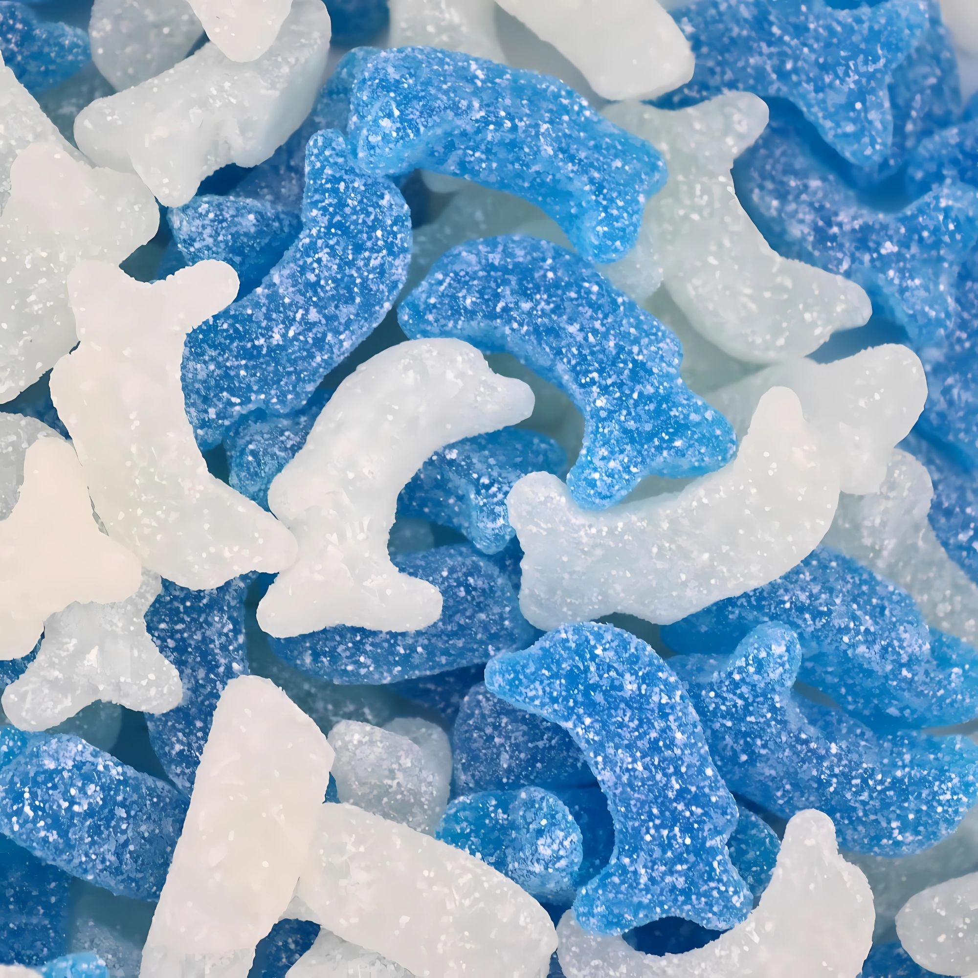 Fizzy Blue Dolphin Sweets – 500g Bag of Vegan Raspberry Candy