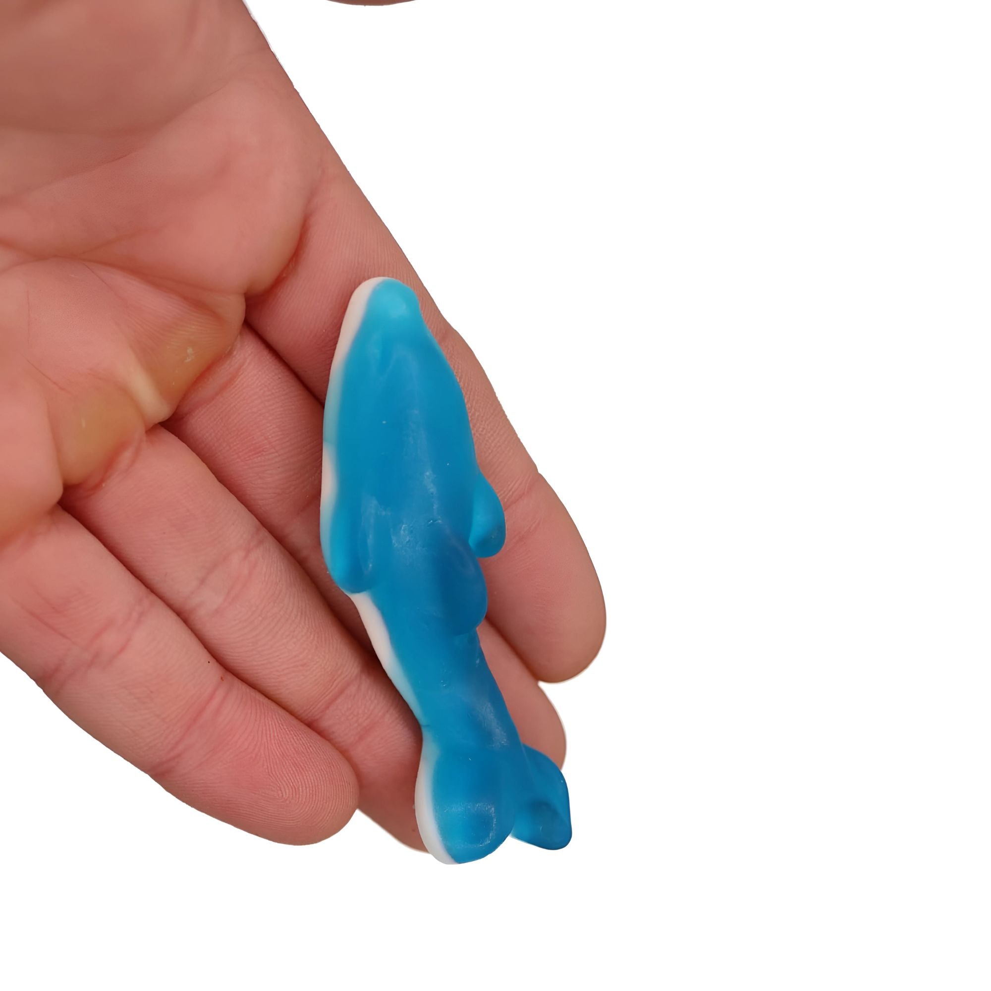 Blue Dolphin Gummy Sweets – 500g Bag