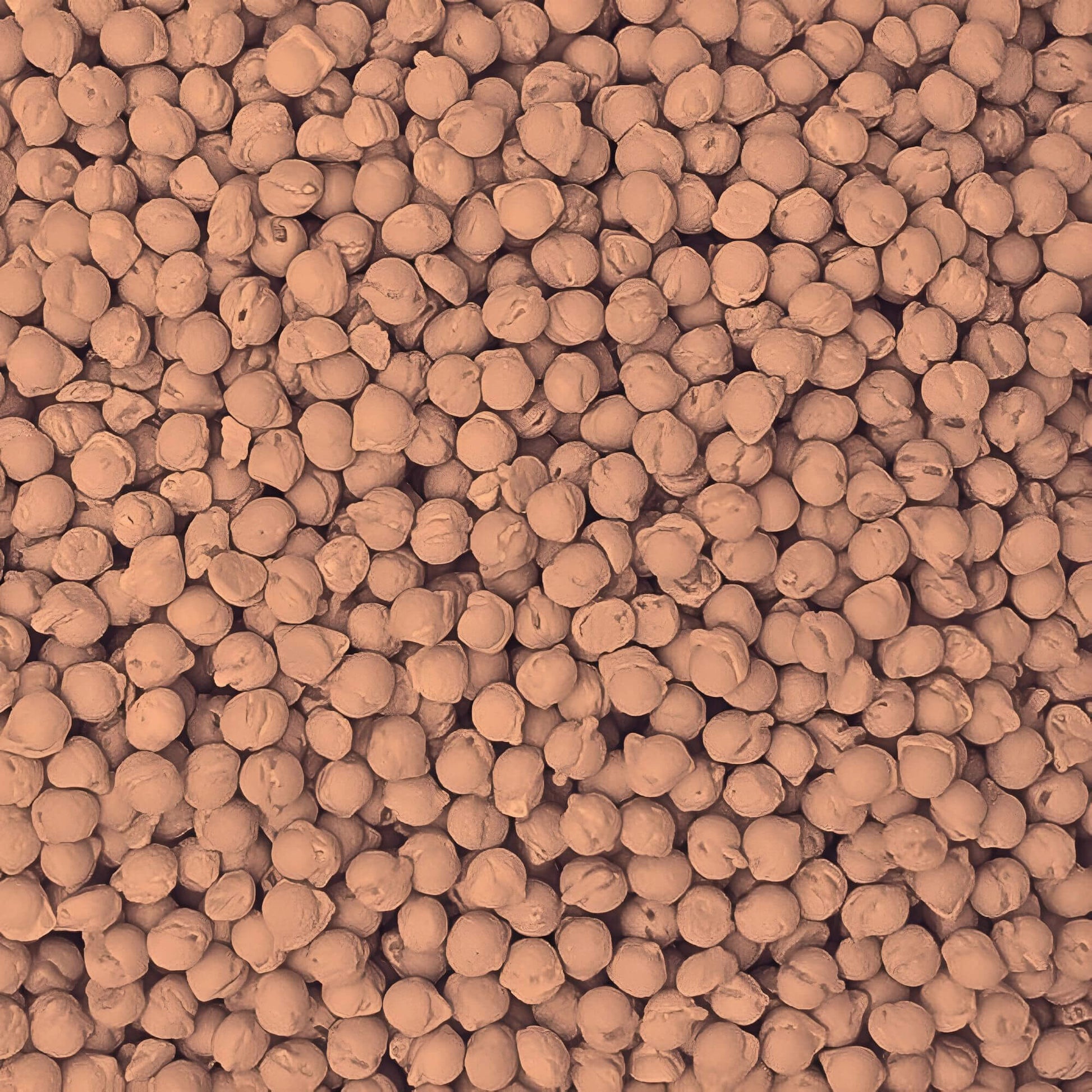 Close-up of brown granular material