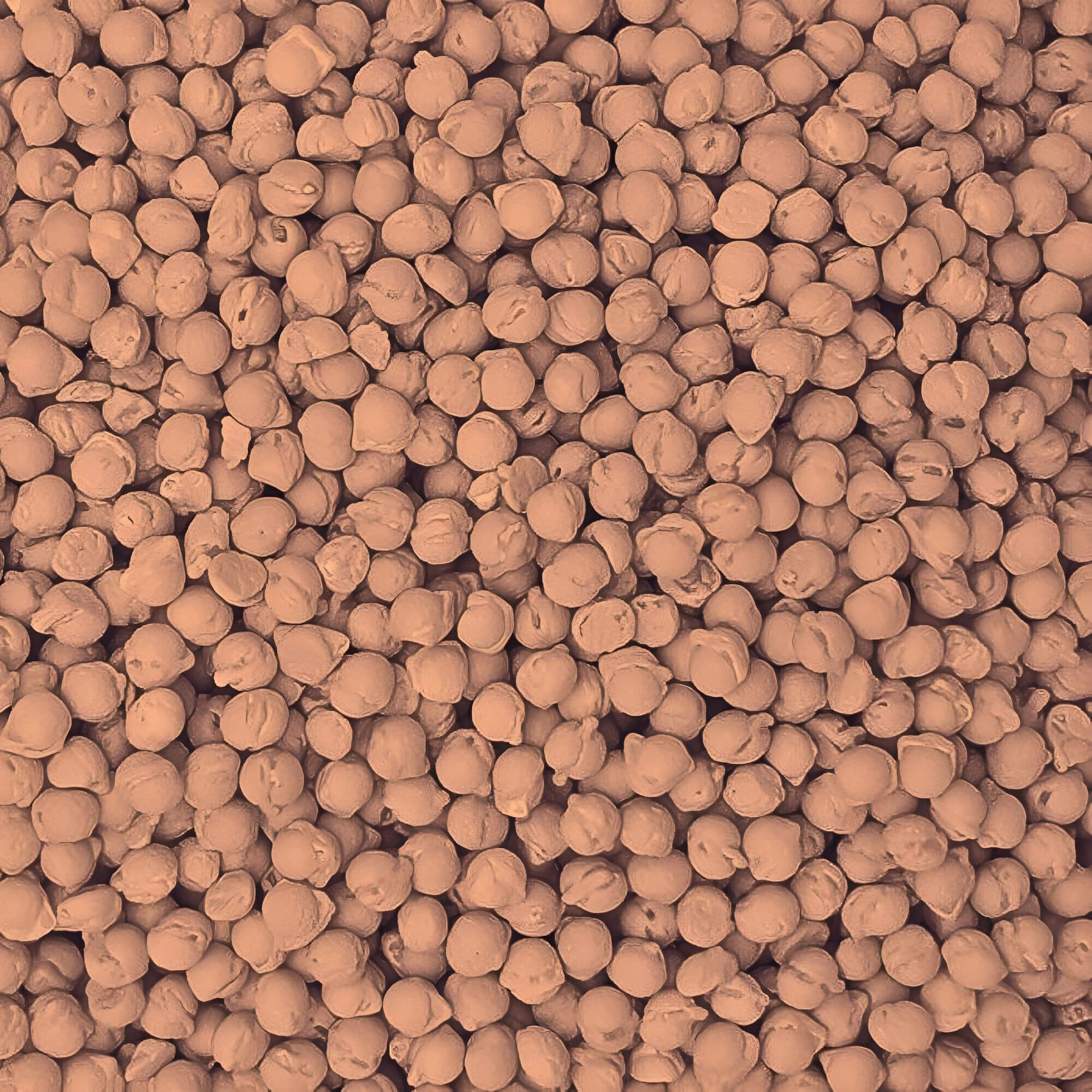 Close-up of brown granular material