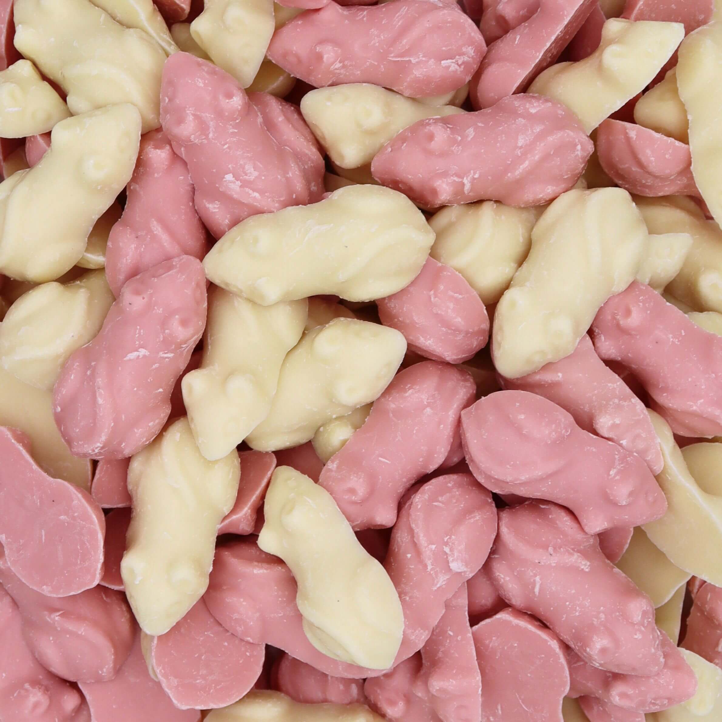pink_and_white_mice_closeup