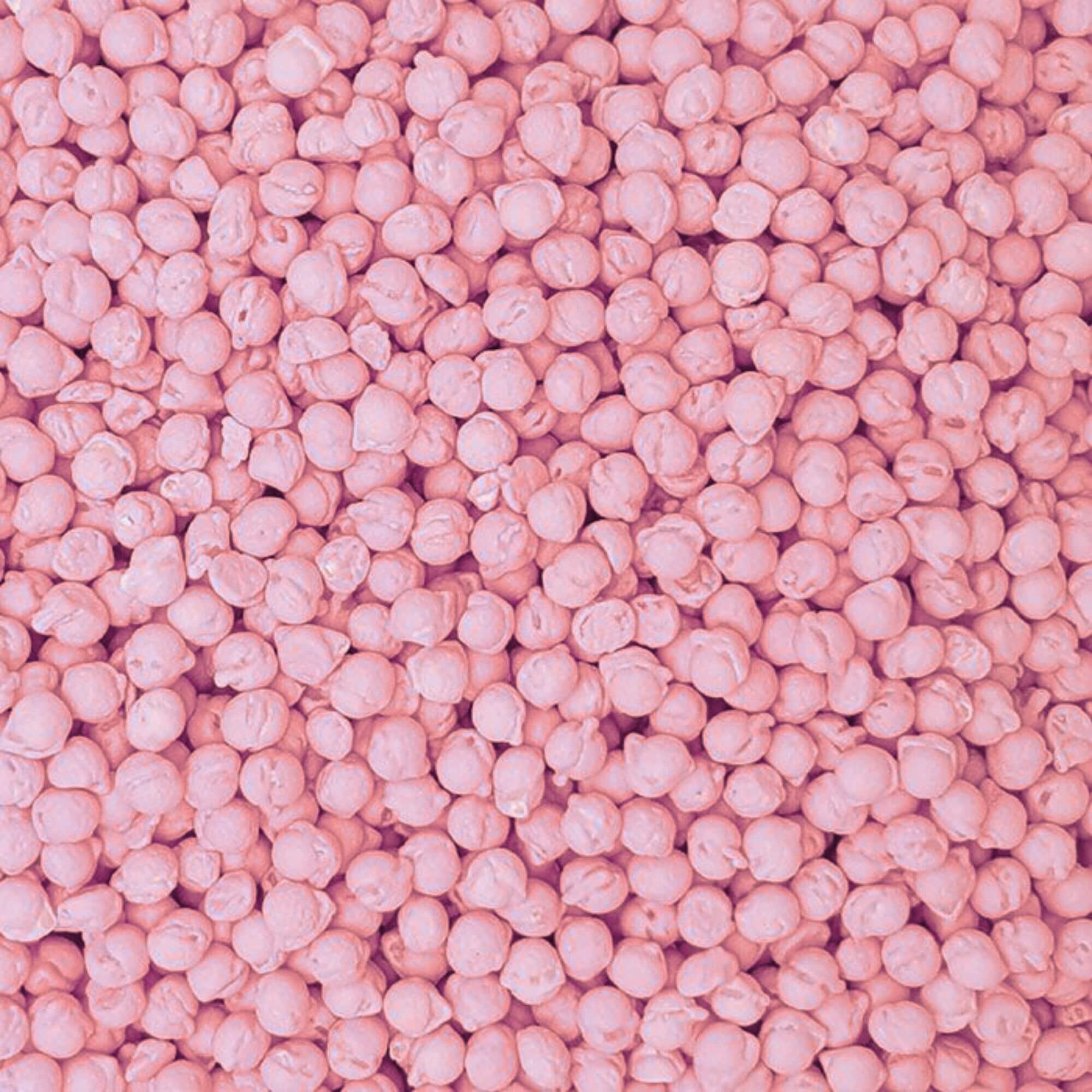 strawberry_millions_closeup