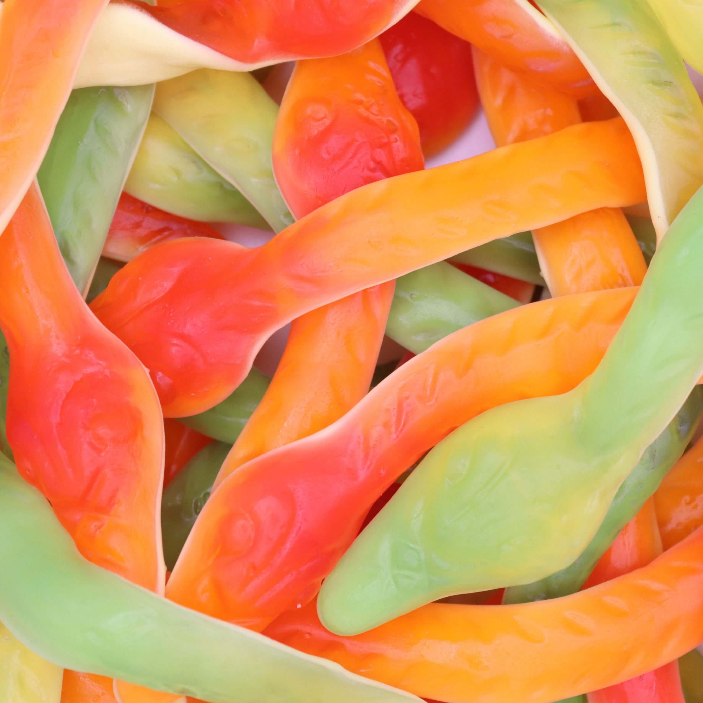 yellow_bellies_closeup_snake_sweets